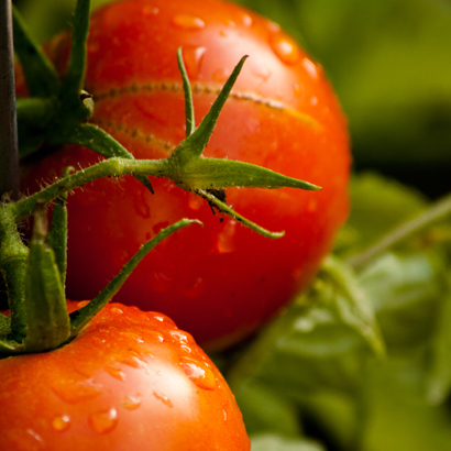 Что съесть, чтобы похудеть BroDude.ru brodude.ru, 19.07.2013, b2j0CCnJo7NL14Lo88PPWryxhYisjIH9