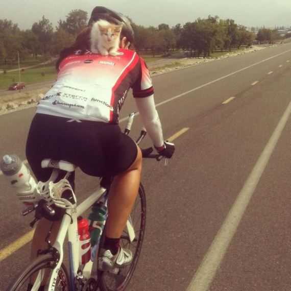 Традиционная подборка фото #91 BroDude.ru brodude.ru, 23.07.2013, ZLKd8kJsndEfZ8H19zVYC2X663qcyG7N