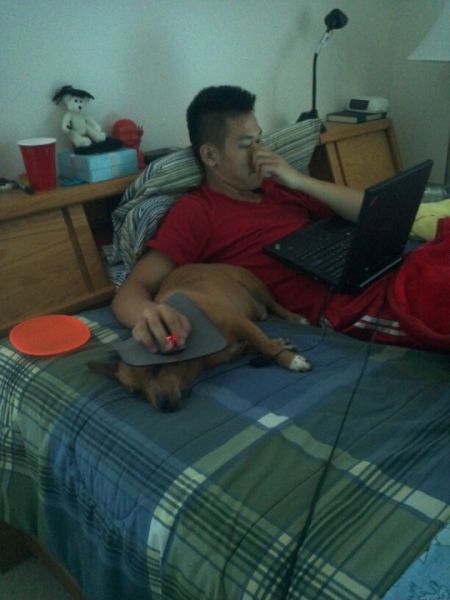 Их ничто не волнует BroDude.ru brodude.ru, 24.07.2013, 9iMkCC3gwm5nP6F53Jy0XOzGa5kTqO95