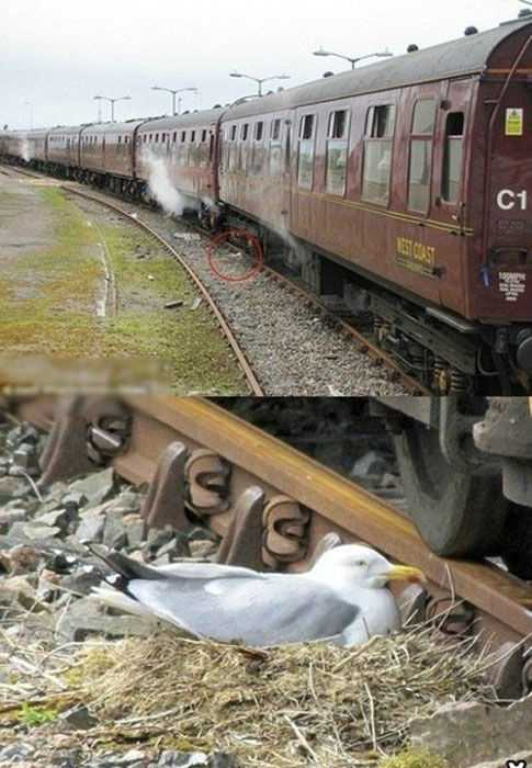 Их ничто не волнует BroDude.ru brodude.ru, 24.07.2013, Axt5e7VYMehGKknxtvnUD0nFlk3wbVyh