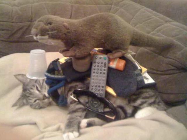 Их ничто не волнует BroDude.ru brodude.ru, 24.07.2013, vVGnvSrwRHbihECJoP4B6Khko3UcOmKt