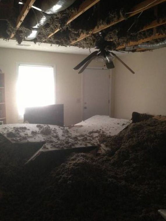 Традиционная фтоподборка #93 BroDude.ru brodude.ru, 25.07.2013, WgvSWQclUzRzqHKjt0ktCSvoVTw8r4iA