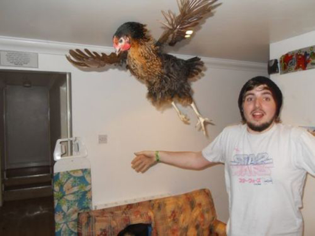 Традиционная фтоподборка #93 BroDude.ru brodude.ru, 25.07.2013, Zej8rha3RViMKgOx5riKOEbi1S3eOULq