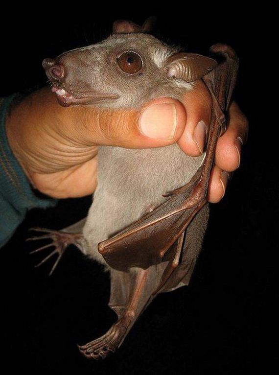 Традиционная фотоподборка #94 BroDude.ru brodude.ru, 26.07.2013, SbwTQt4zpItAr4rfbe29D1Hn02rJuKnn