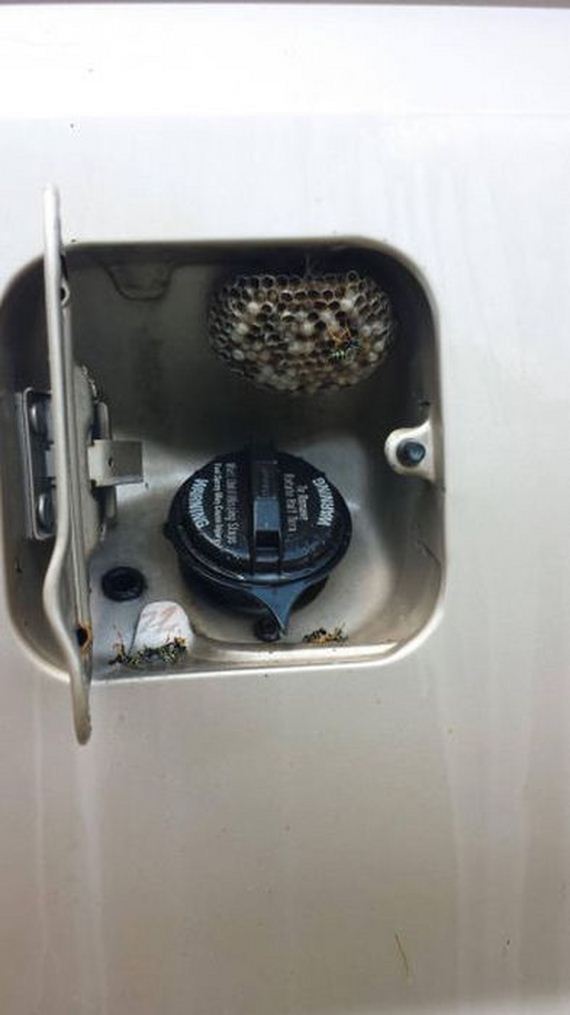 Традиционная фотоподборка #94 BroDude.ru brodude.ru, 26.07.2013, cz6jg313s9y6sFyqufvyt2VdOfPgjphO