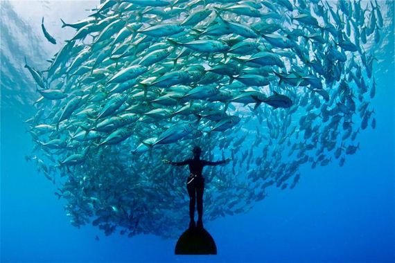 Традиционная фотоподборка #94 BroDude.ru brodude.ru, 26.07.2013, pnudv7nNzpEHo4nH6tTJJCxa7F6NpQOi