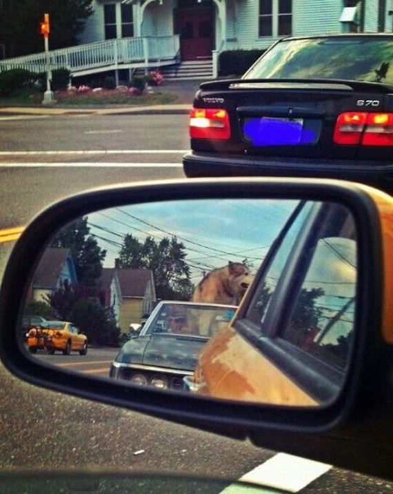 Традиционная фотоподборка #124 BroDude.ru brodude.ru, 11.09.2013, N5745wyQ585YUAFYBy34qHyKLeSQCpiO