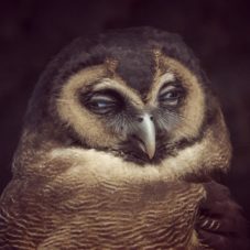 Когда на работе скучно